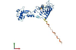 Protein Structure (PS) image for Adenosine Deaminase, tRNA-Specific 3 (ADAT3) (AA 1-351) protein (His tag) (ABIN7552027)