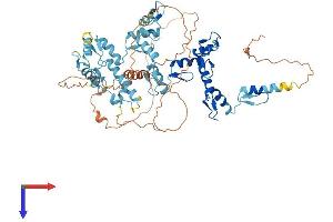 ZNF792 Protein (AA 1-632) (His tag)