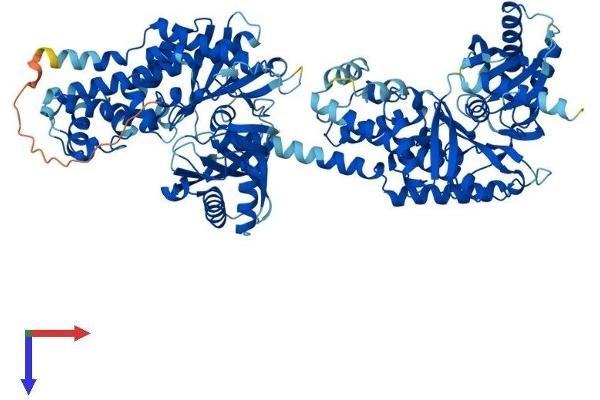 HK3 Protein (AA 1-923) (His tag)