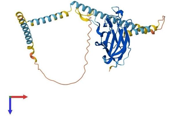 SUN3 Protein (AA 1-357) (His tag)