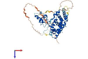 ESRRA Protein (AA 1-423) (His tag)
