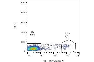 Flow cytometry (surface staining) of IgE in human peripheral blood lymphocytes with anti-IgE (BE5) purified, GAM-APC.