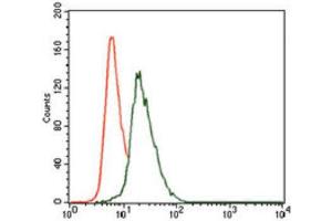 Flow Cytometry (FACS) image for anti-Vav 1 Oncogene (VAV1) (AA 121-324) antibody (ABIN1845807) (VAV1 Antikörper  (AA 121-324))