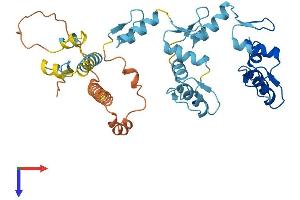 ZNF684 Protein (AA 1-378) (His tag)