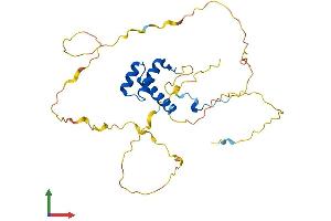 Protein Structure (PS) image for Homeobox A4 (HOXA4) (AA 1-285) protein (His tag) (ABIN7562748)