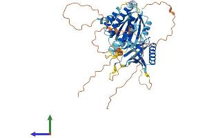 Protein Structure (PS) image for Meiosis 1 Associated Protein (M1AP) (AA 1-529) protein (His tag) (ABIN7556338)