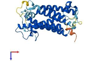 SRD5A3 Protein (AA 1-318) (His tag)