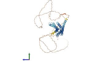 Protein Structure (PS) image for Gap Junction Protein, alpha 10, 62kDa (GJa10) (AA 1-505) protein (His tag) (ABIN7556290)