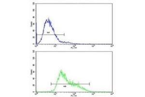 Flow cytometric analysis of CEM cells using IGHA1 antibody (bottom histogram) compared to a negative control (top histogram). (IGHA1 Antikörper  (AA 257-286))
