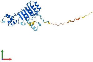 Protein Structure (PS) image for F-Box and Leucine-Rich Repeat Protein 22 (FBXL22) (AA 1-236) protein (His tag) (ABIN7559183)
