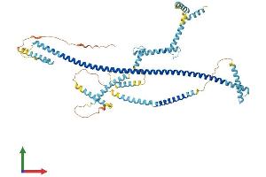 Protein Structure (PS) image for Centrosomal Protein 70kDa (CEP70) (AA 1-616) protein (His tag) (ABIN7557931)