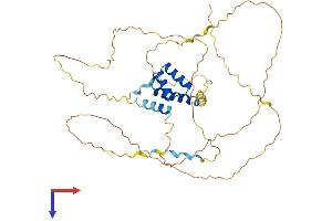 ALX4 Protein (AA 1-399) (His tag)