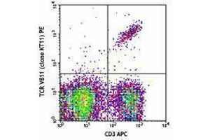 Flow Cytometry (FACS) image for anti-TCR V beta 11 antibody (PE) (ABIN2663913) (TCR V beta 11 Antikörper (PE))