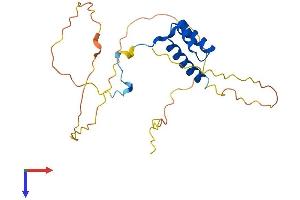 HOXA7 Protein (AA 1-230) (His tag)