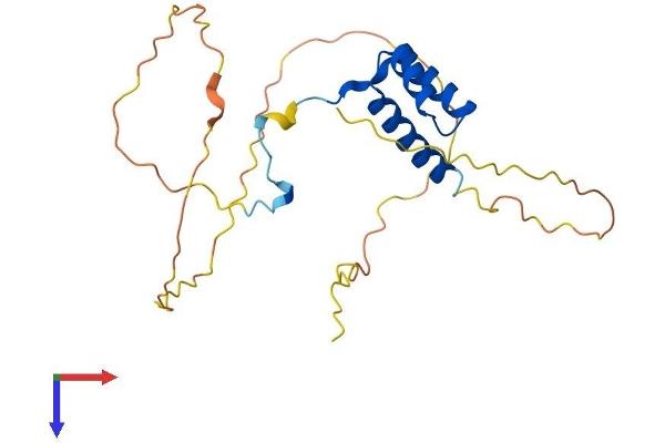 HOXA7 Protein (AA 1-230) (His tag)