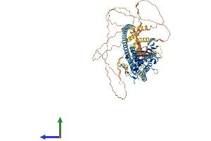 AlphaFold protein structure predicition of Human Recombinant KIFC2 Protein, UniprotID Q96AC6