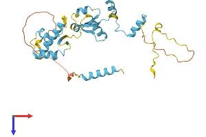 GTF2E2 Protein (AA 1-292) (His tag)
