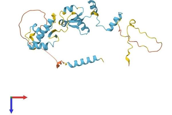 GTF2E2 Protein (AA 1-292) (His tag)