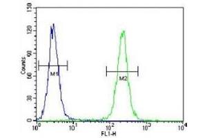 Flow Cytometry (FACS) image for anti-Insulin-Like Growth Factor 2 (IGF2) (AA 39-68) antibody (ABIN3031346)