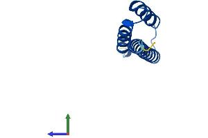 Protein Structure (PS) image for LYR Motif Containing 5 (LYRM5) (AA 1-86) protein (His tag) (ABIN7559971)