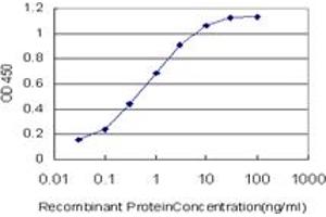 Detection limit for recombinant GST tagged EP300 is approximately 0. (p300 Antikörper  (AA 731-830))