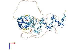 PRDM9 Protein (AA 1-894) (His tag)