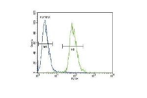 ETV5 Antibody (N-term) (ABIN654690 and ABIN2844382) flow cytometric analysis of 293 cells (right histogram) compared to a negative control cell (left histogram). (ETV5 Antikörper  (N-Term))