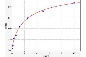 GATA5 ELISA Kit