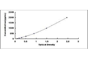 Typical standard curve (SLC6A4 ELISA Kit)