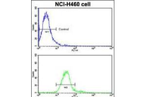 Flow Cytometry (FACS) image for anti-Receptor Tyrosine Kinase-Like Orphan Receptor 1 (ROR1) (AA 32-62), (N-Term) antibody (ABIN5534646)