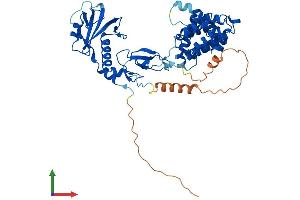 Protein Structure (PS) image for Chimerin (Chimaerin) 2 (CHN2) (AA 1-468) protein (His tag) (ABIN7553369)