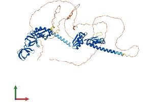 Protein Structure (PS) image for Fragile X Mental Retardation, Autosomal Homolog 2 (FXR2) (AA 1-673) protein (His tag) (ABIN7547857)