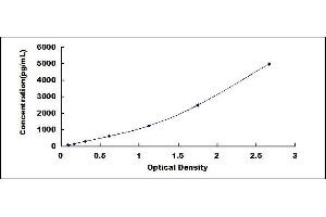 Small Ubiquitin Related Modifier Protein 1 (SUMO1) ELISA Kit