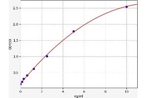 Typical standard curve (14-3-3 gamma ELISA Kit)