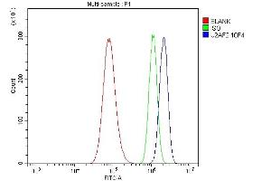 Flow Cytometry analysis of A549 cells using anti- U2AF65/U2AF2 antibody (ABIN7600794). (U2AF2 Antikörper  (AA 238-470))