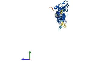 Protein Structure (PS) image for Tweety Homolog 1 (TTYH1) (AA 1-450) protein (His tag) (ABIN7544838)