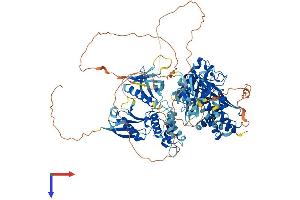 PTPN3 Protein (AA 1-913) (His tag)