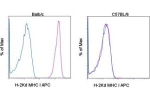 Image no. 1 for anti-MHC Class I H-2Kd antibody (APC) (ABIN476368) (MHC Class I H-2Kd Antikörper  (APC))
