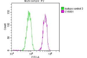 Overlay histogram showing Hela cells stained with ABIN7127661 (red line) at 1:50. (Rekombinanter PABPN1 Antikörper)