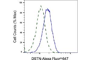 Validation of DSTN knockdown using flow cytometry.