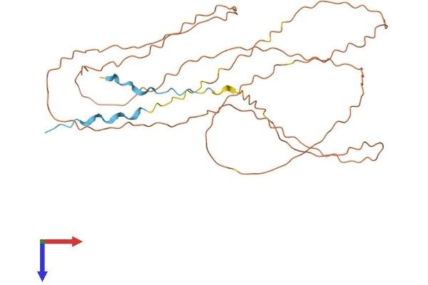 LOR Protein (AA 1-312) (His tag)