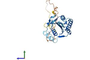 Protein Structure (PS) image for MAF1 Homolog (MAF1) (AA 1-258) protein (His tag) (ABIN7560855)