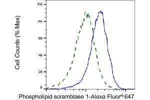 Validation of Phospholipid scramblase 1 knockdown using flow cytometry. (Rekombinanter PLSCR1 Antikörper)