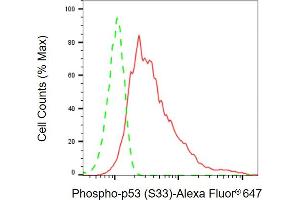 Flow cytometric analysis of Phospho-p53 (S33) expression in HeLa cells using Phospho-p53 (S33) antibody ( (ABIN7800680), 1:2,000).