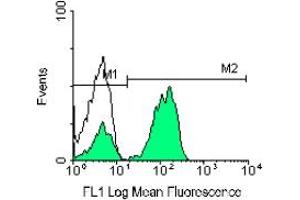 Image no. 1 for anti-CD3 epsilon (CD3E) antibody (PE) (ABIN135471) (CD3 epsilon Antikörper  (PE))