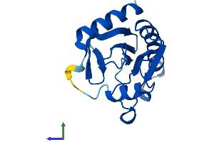 Protein Structure (PS) image for Fragile Histidine Triad (FHIT) (AA 1-147) protein (His tag) (ABIN7553911)