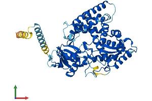 Protein Structure (PS) image for Cytochrome P450, Family 51, Subfamily A, Polypeptide 1 (CYP51A1) (AA 1-503) protein (His tag) (ABIN7559429)