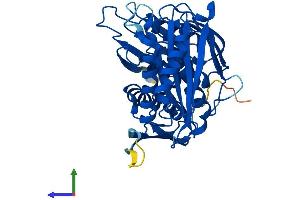 Protein Structure (PS) image for RNA Terminal Phosphate Cyclase-Like 1 (RCL1) (AA 1-373) protein (His tag) (ABIN7561605)