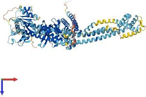 DSTYK Protein (AA 1-927) (His tag)