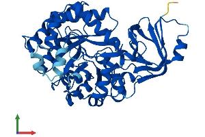 Protein Structure (PS) image for Amidohydrolase Domain Containing 1 (AMDHD1) (AA 1-426) protein (His tag) (ABIN7548341)